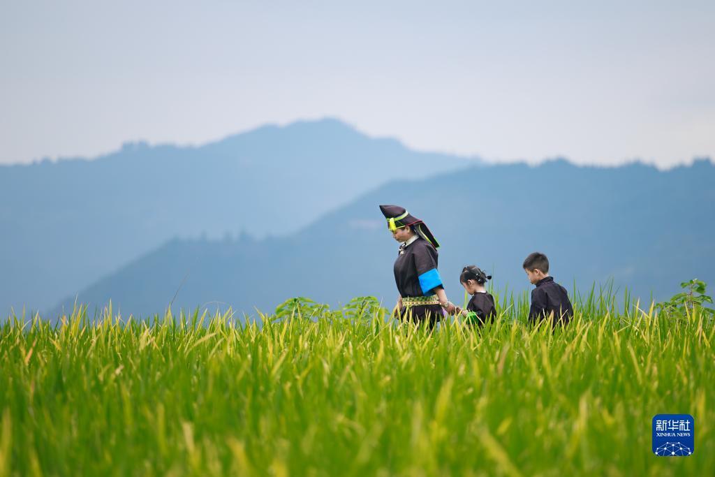 ag八大娱乐平台